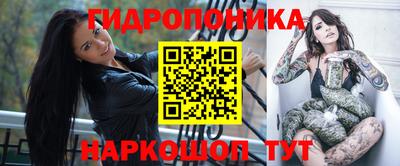 прущие грибы Лесосибирск