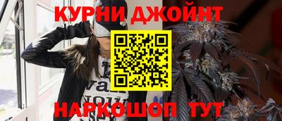 прущие грибы Лесосибирск