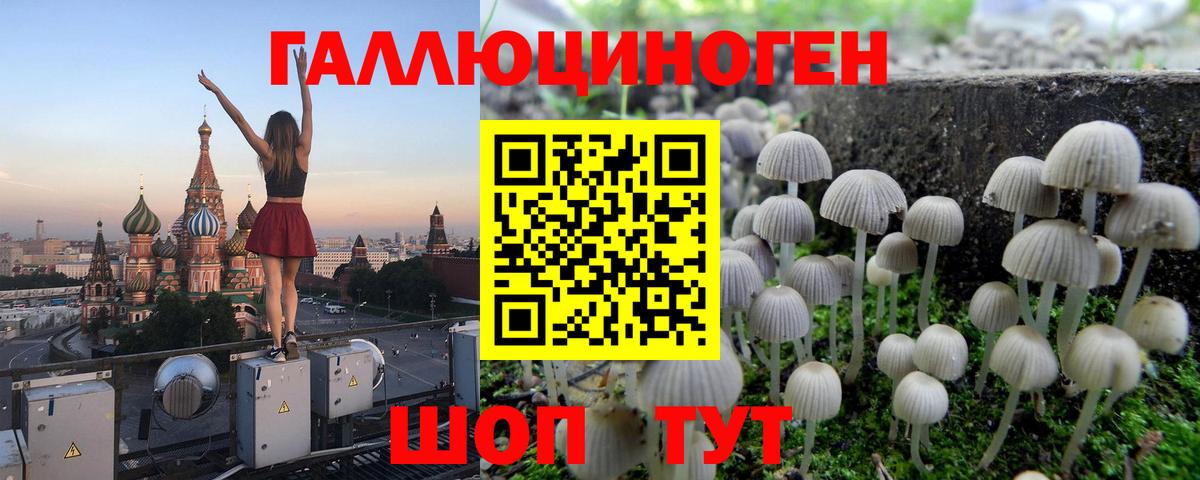 Галлюциногенные грибы ЛСД Арсеньев